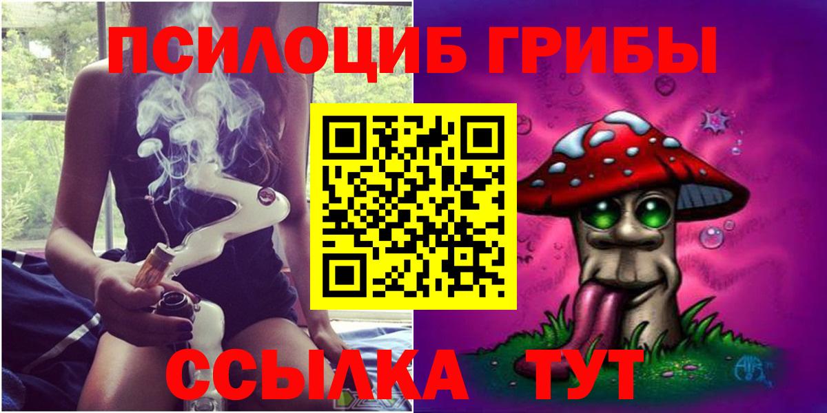Псилоцибиновые грибы мицелий Славгород