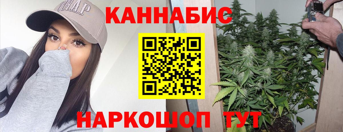 Канабис SATIVA & INDICA Славгород